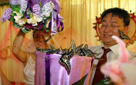 butterfly_wedding.jpg